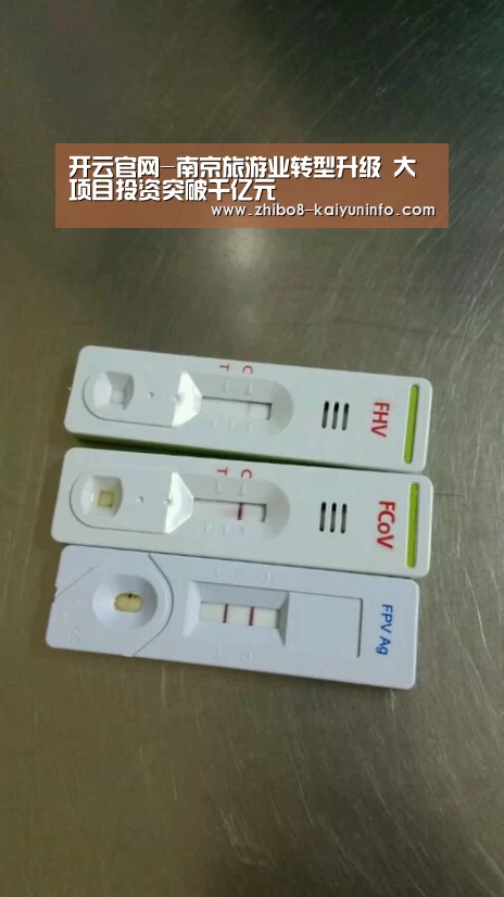 开云官网-南京旅游业转型升级 大项目投资突破千亿元(图1) 开云体育官网